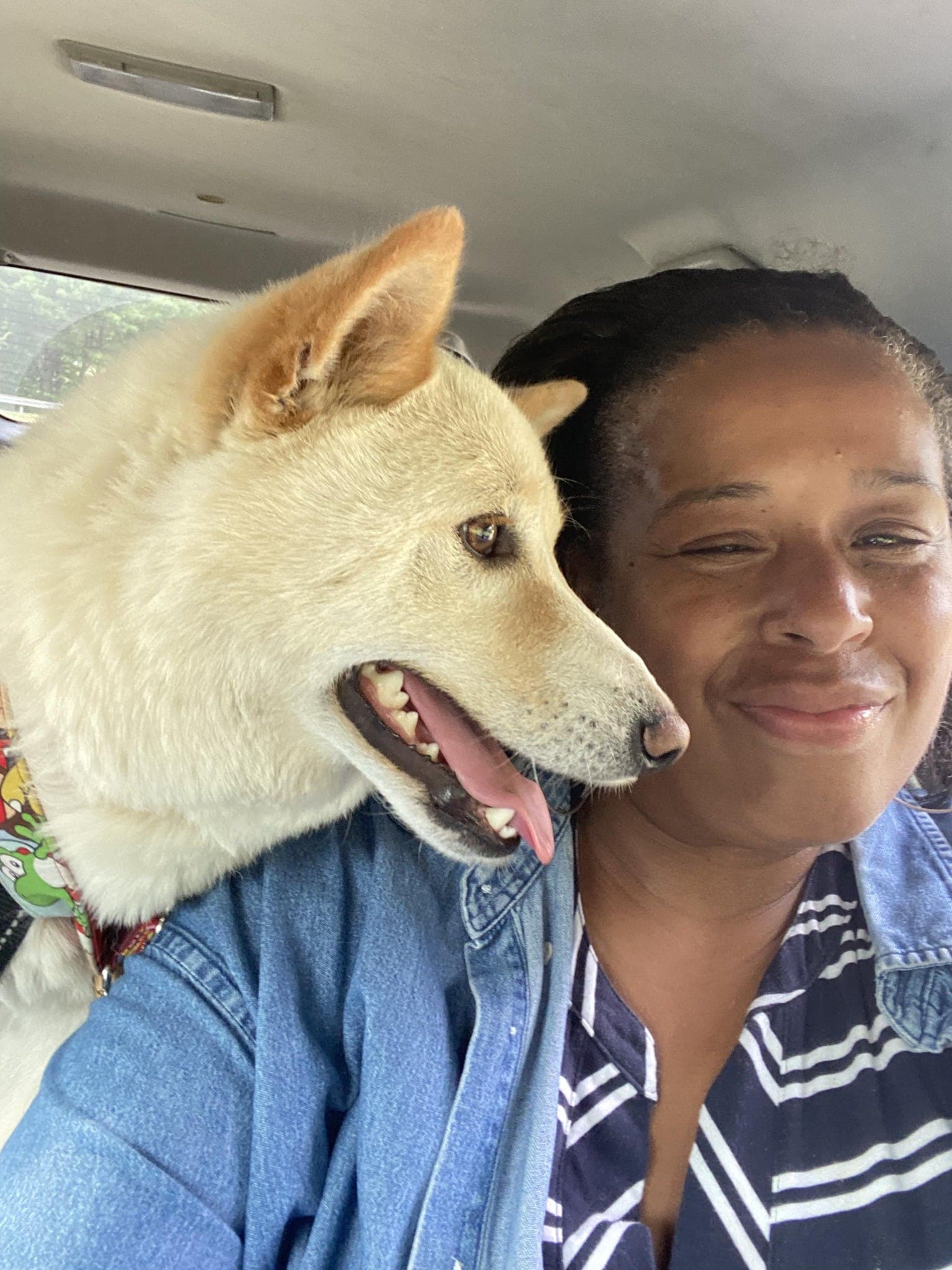 About Us | Many Paws Volunteer Transport